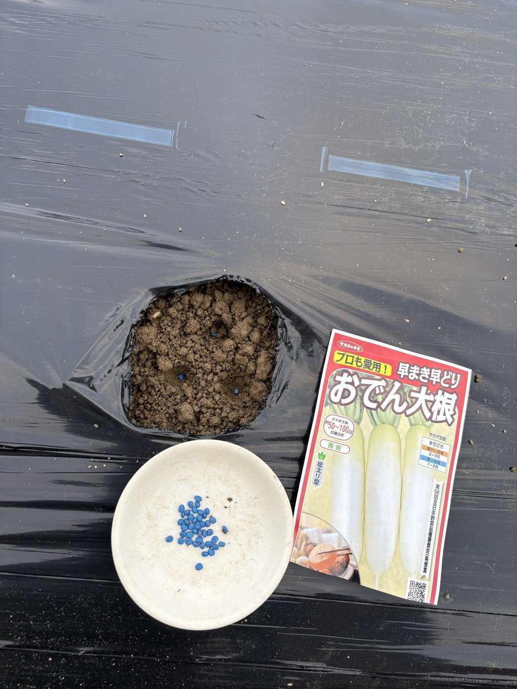 おでん大根の種袋と青くコーティングされた種