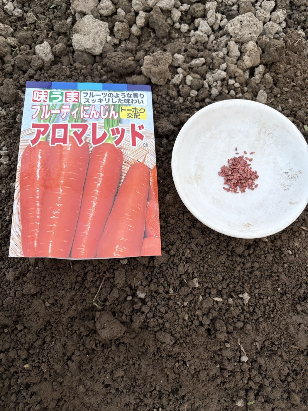 アロマレッドの種袋と赤い種